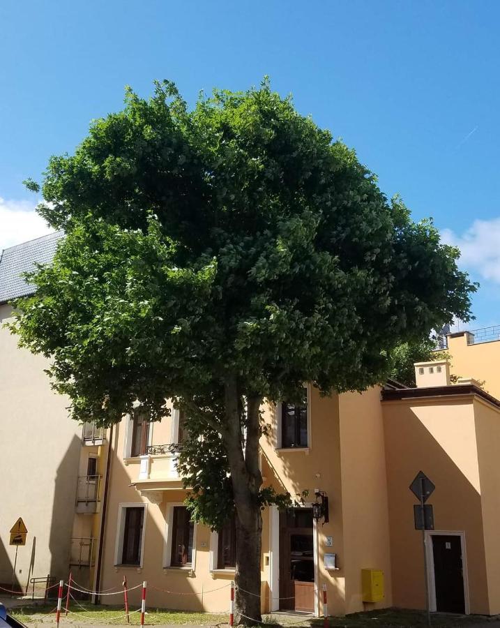 קולובז'ג Apartamenty Na Cichej 5 A2 מראה חיצוני תמונה